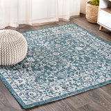 Huon Palazzo Vine and Border Indoor/Outdoor Area Rug