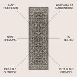Huon Palazzo Vine and Border Indoor/Outdoor Area Rug