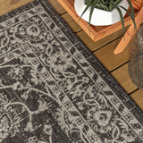 Huon Palazzo Vine and Border Indoor/Outdoor Area Rug