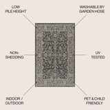 Huon Palazzo Vine and Border Indoor/Outdoor Area Rug