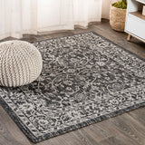 Huon Palazzo Vine and Border Indoor/Outdoor Area Rug