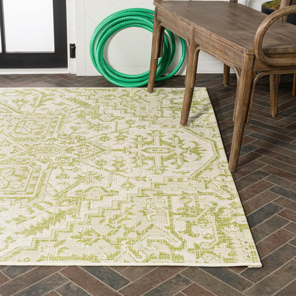 Cascade Bohemian Medallion Textured Weave Indoor/outdoor Area Rug