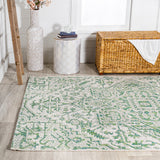 Cascade Bohemian Medallion Textured Weave Indoor/outdoor Area Rug