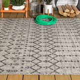 Dean Moroccan Geometric Textured Weave Indoor/outdoor Area Rug