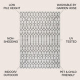 Dean Moroccan Geometric Textured Weave Indoor/outdoor Area Rug