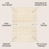 Dean Moroccan Geometric Textured Weave Indoor/outdoor Area Rug