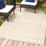 Dean Moroccan Geometric Textured Weave Indoor/outdoor Area Rug