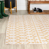Dean Moroccan Geometric Textured Weave Indoor/outdoor Area Rug