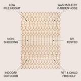 Dean Moroccan Geometric Textured Weave Indoor/outdoor Rug