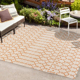 Dean Moroccan Geometric Textured Weave Indoor/outdoor Rug