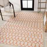 Dean Moroccan Geometric Textured Weave Indoor/outdoor Rug