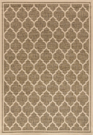 Matthews Moroccan Trellis Textured Weave Indoor/outdoor Area Rug