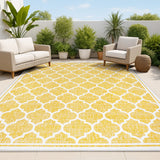 Matthews Moroccan Trellis Textured Weave Indoor/outdoor Area Rug