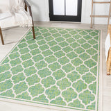 Matthews Moroccan Trellis Textured Weave Indoor/outdoor Area Rug