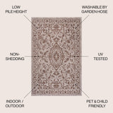 Mcdaniel ornate Medallion Indoor/outdoor Area Rug
