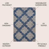 Yamuna Tuscany Ornate Medallions Indoor/Outdoor Area Rug