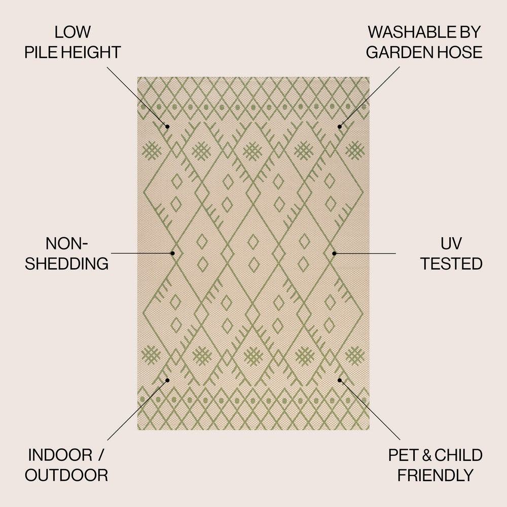 Parana Boho Moroccan Indoor/Outdoor Area Rug