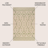 Parana Boho Moroccan Indoor/Outdoor Area Rug