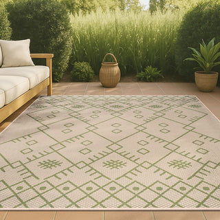 Parana Boho Moroccan Indoor/Outdoor Area Rug