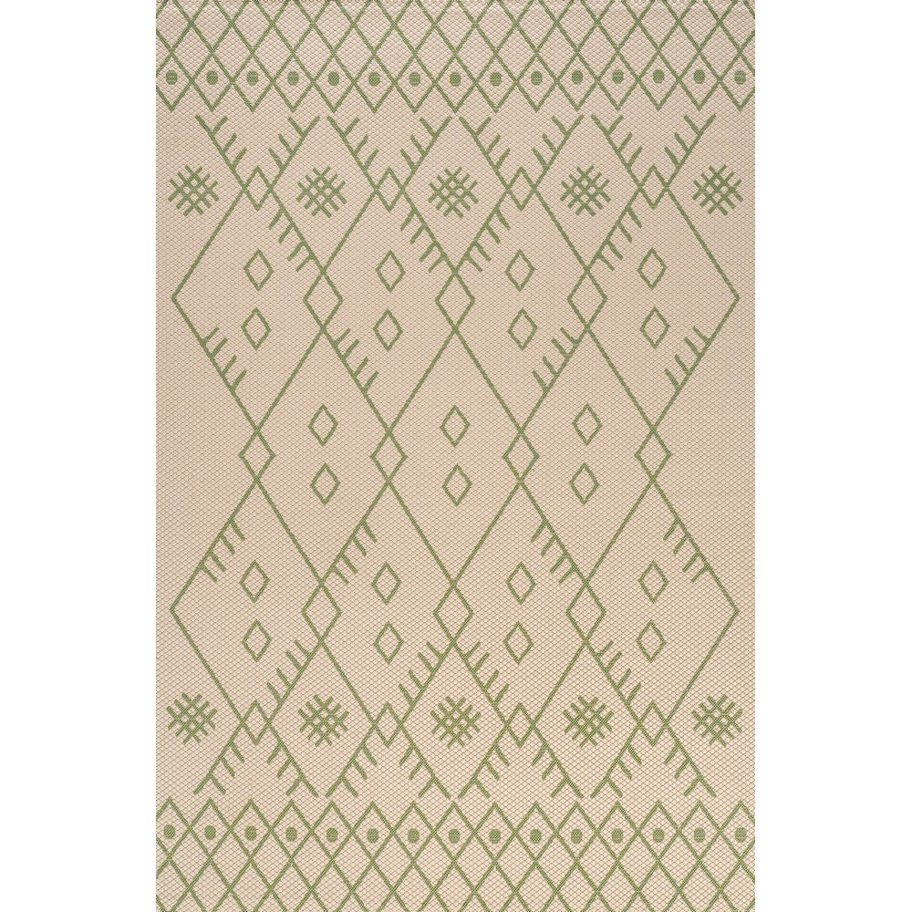 Parana Boho Moroccan Indoor/Outdoor Area Rug