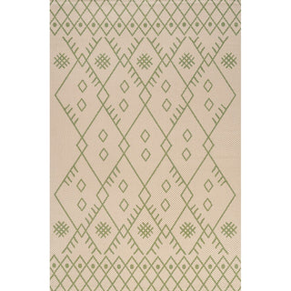 Parana Boho Moroccan Indoor/Outdoor Area Rug