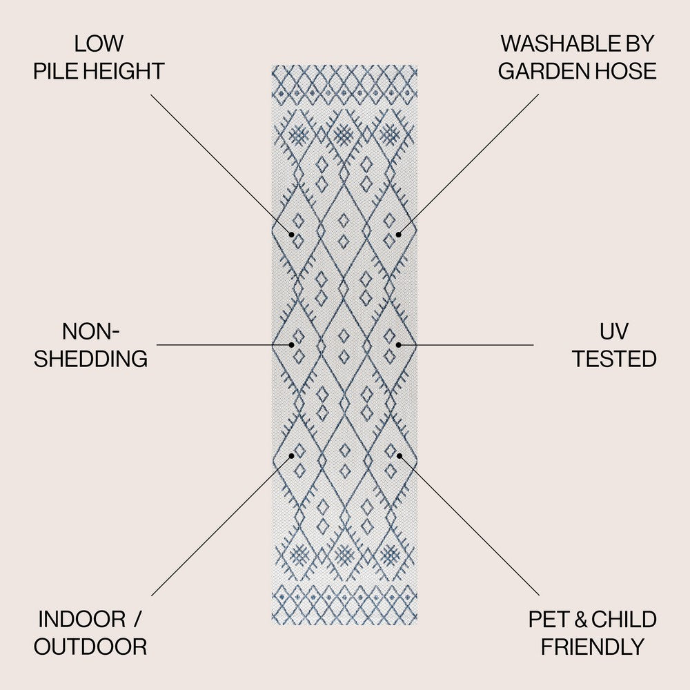 Parana Boho Moroccan Indoor/Outdoor Area Rug