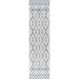 Parana Boho Moroccan Indoor/Outdoor Area Rug