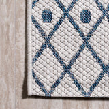 Parana Boho Moroccan Indoor/Outdoor Area Rug
