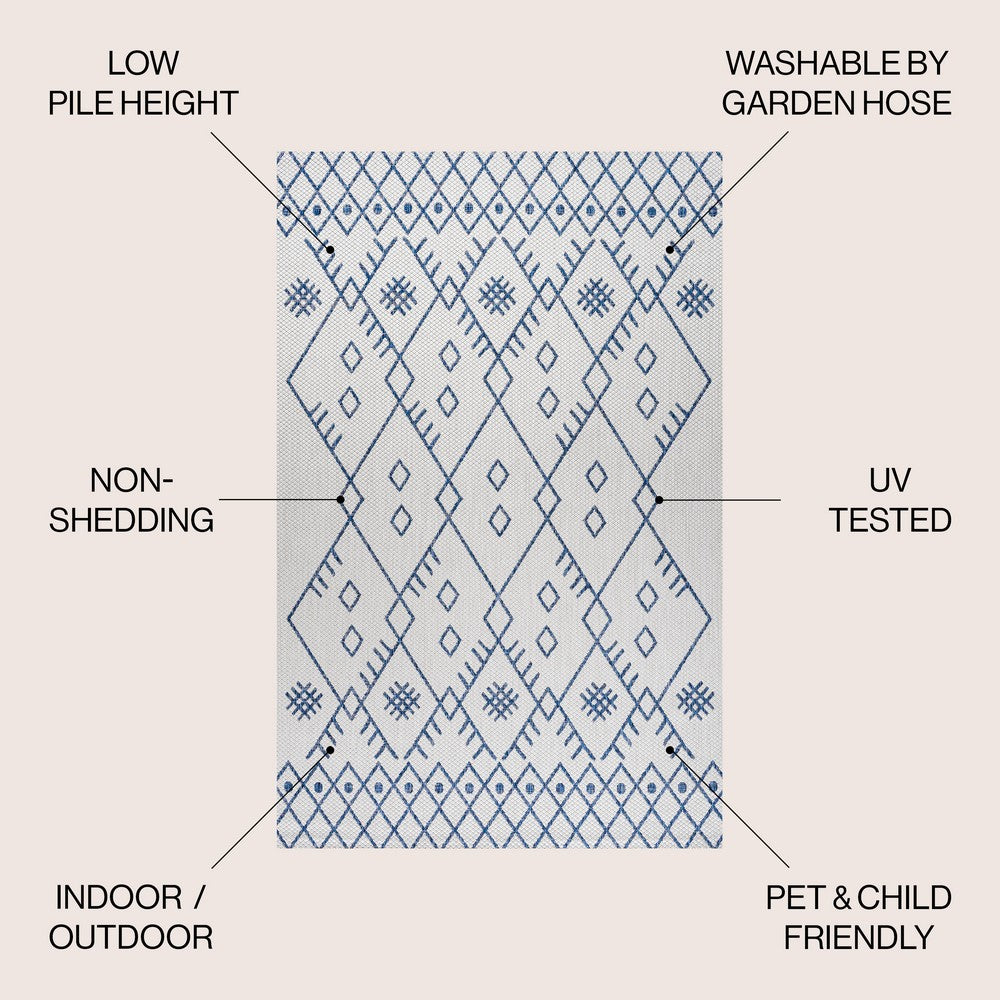 Parana Boho Moroccan Indoor/Outdoor Area Rug