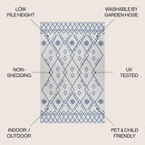 Parana Boho Moroccan Indoor/Outdoor Area Rug