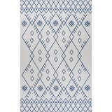 Parana Boho Moroccan Indoor/Outdoor Area Rug