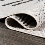 Lamego Zolak Berber Stripe Geometric Indoor/Outdoor Area Rug