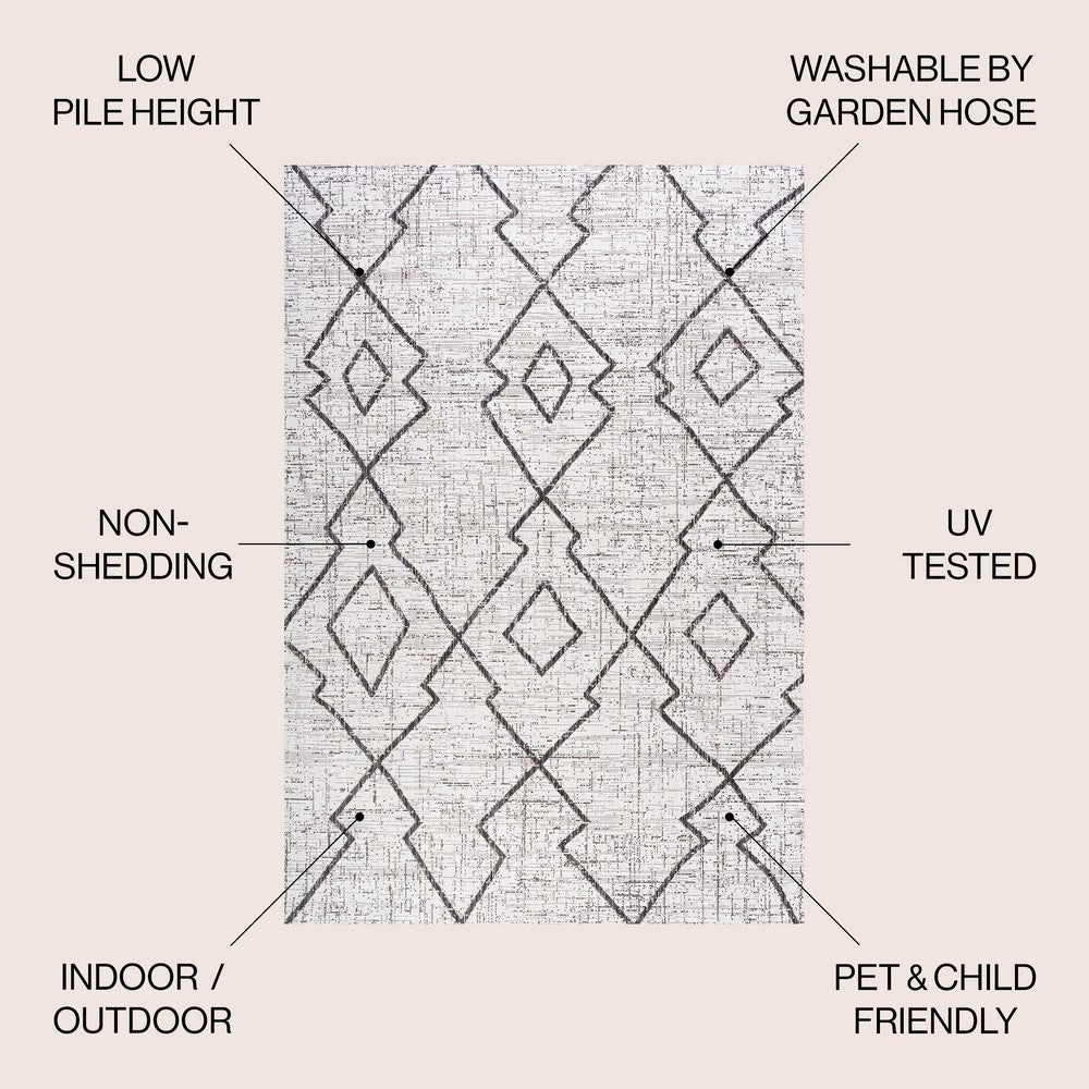 Funchat Carwa Tribal Diamond Trellis Indoor/Outdoor Area Rug