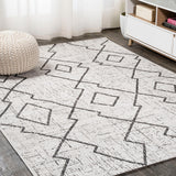 Funchat Carwa Tribal Diamond Trellis Indoor/Outdoor Area Rug