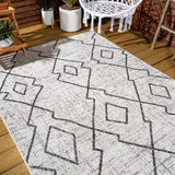 Funchat Carwa Tribal Diamond Trellis Indoor/Outdoor Area Rug