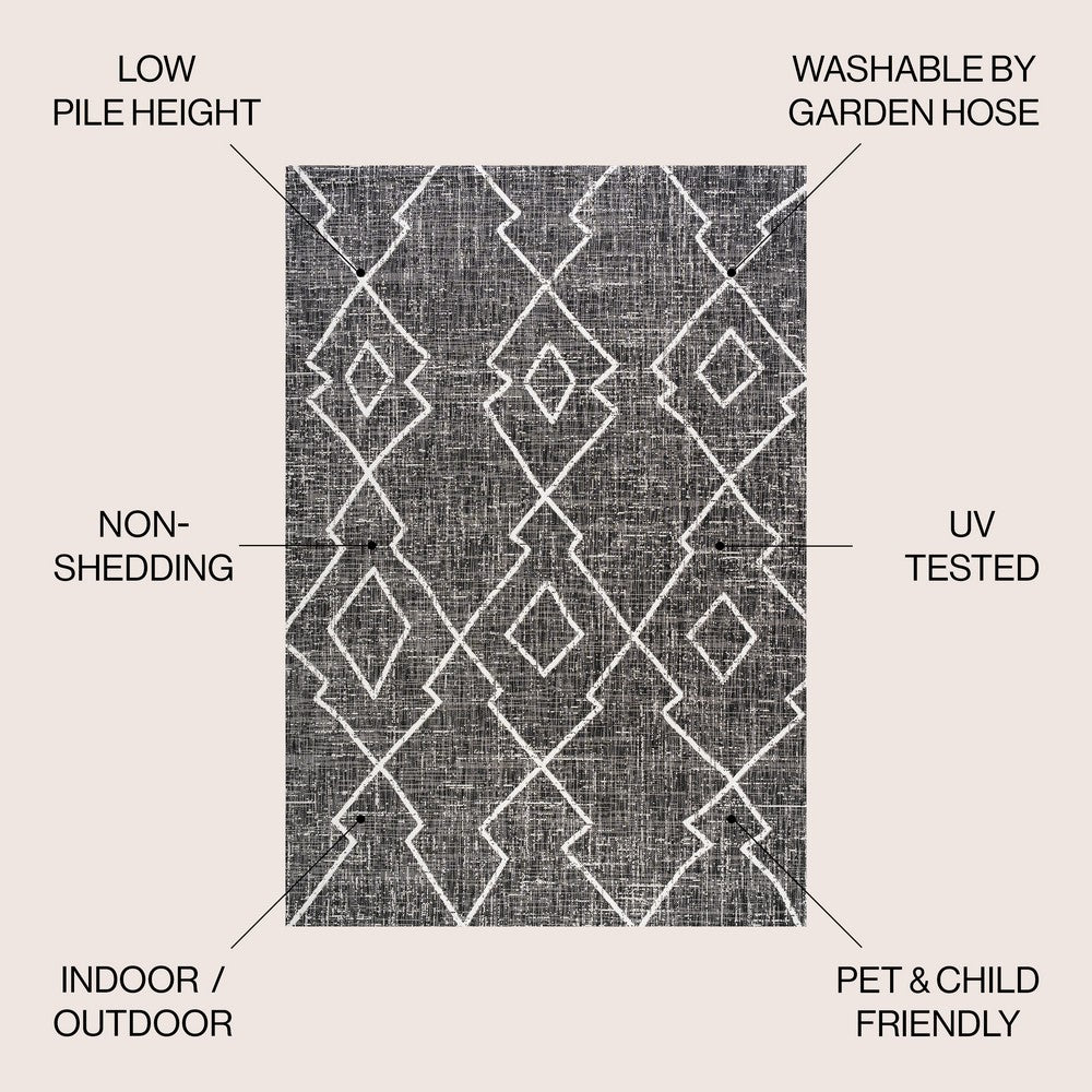 Funchat Carwa Tribal Diamond Trellis Indoor/Outdoor Area Rug