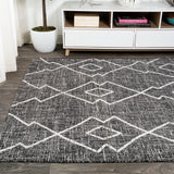 Funchat Carwa Tribal Diamond Trellis Indoor/Outdoor Area Rug
