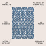 Elvas Nokat Tribal Bohemian Indoor/Outdoor Area Rug