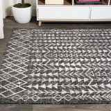 Esmortiz Tokay Bohemian Geometric Indoor/Outdoor Area Rug