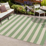 Amos Two-tone Wide Stripe Indoor/outdoor Area Rug
