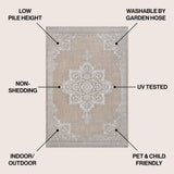 Bloom Vintage Casual Medallion Indoor/Outdoor Area Rug