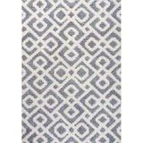 Ludwig Retro Trellis High-low Area Rug