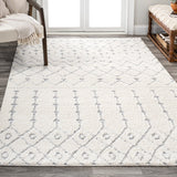 Zizi Moroccan Trellis Plush Carved Area Rug