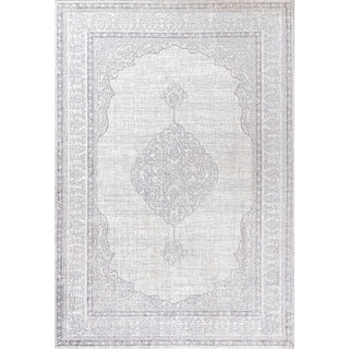 Gemini Mughal Ornate Medallion Traditional Area Rug