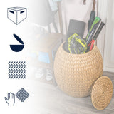 Colt 17" Coastal Bohemian Handwoven Hyacinth Storage Stool with Lid