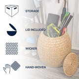 Colt 17" Coastal Bohemian Handwoven Hyacinth Storage Stool with Lid