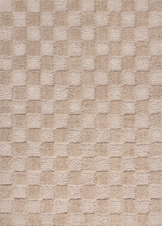 Driftvale Geometric Checker High-low Shag Area Rug