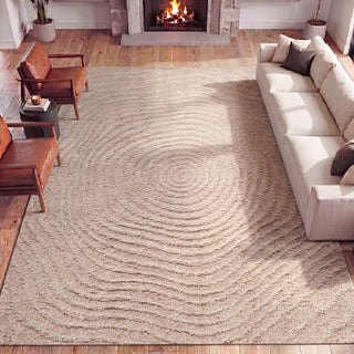 Sandmere Concentric Ring High-low Shag Area Rug