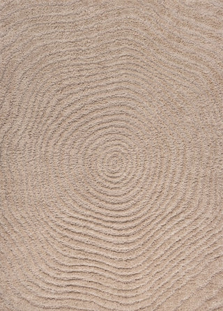 Sandmere Concentric Ring High-low Shag Area Rug