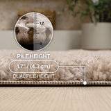 Sandmere Concentric Ring High-low Shag Area Rug